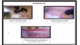 /album/fotogaleria-evidencias/diapositiva1-jpg1/